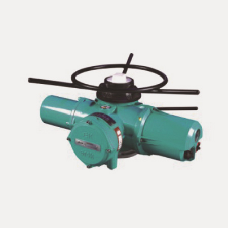 DZW型電動執(zhí)行機(jī)構(gòu)